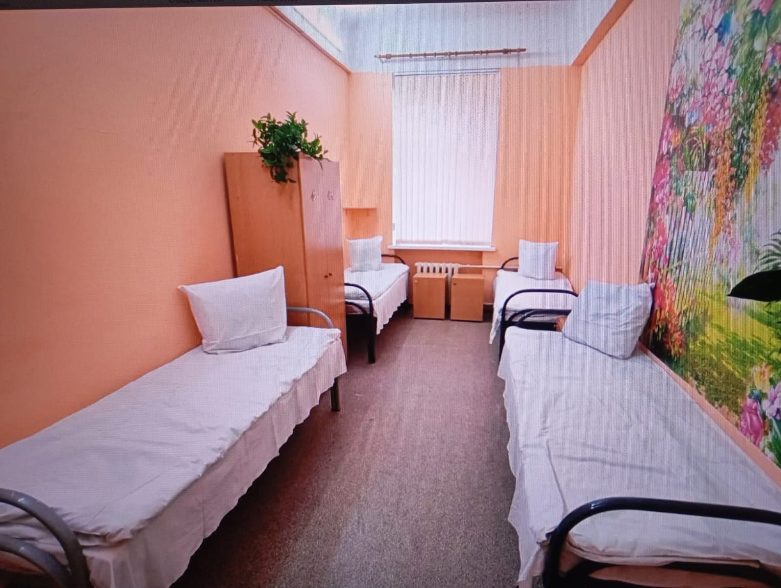 Превью 3